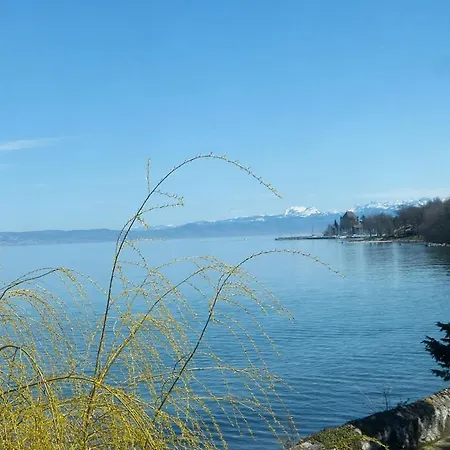 Appartement Very On Geneva *