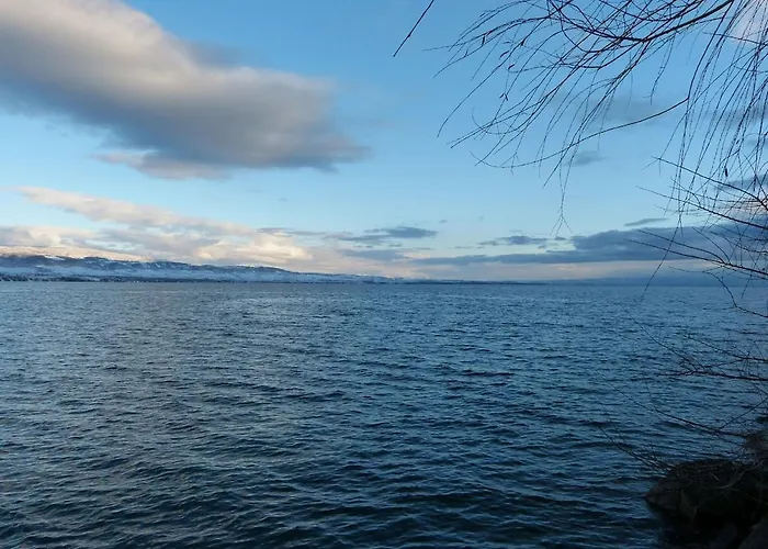 Very On Geneva * Nernier