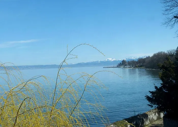 Appartement Very On Geneva *